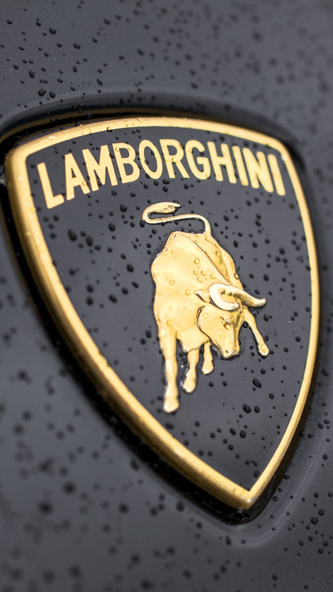 Detail Lamborghini Logo Picture Nomer 15