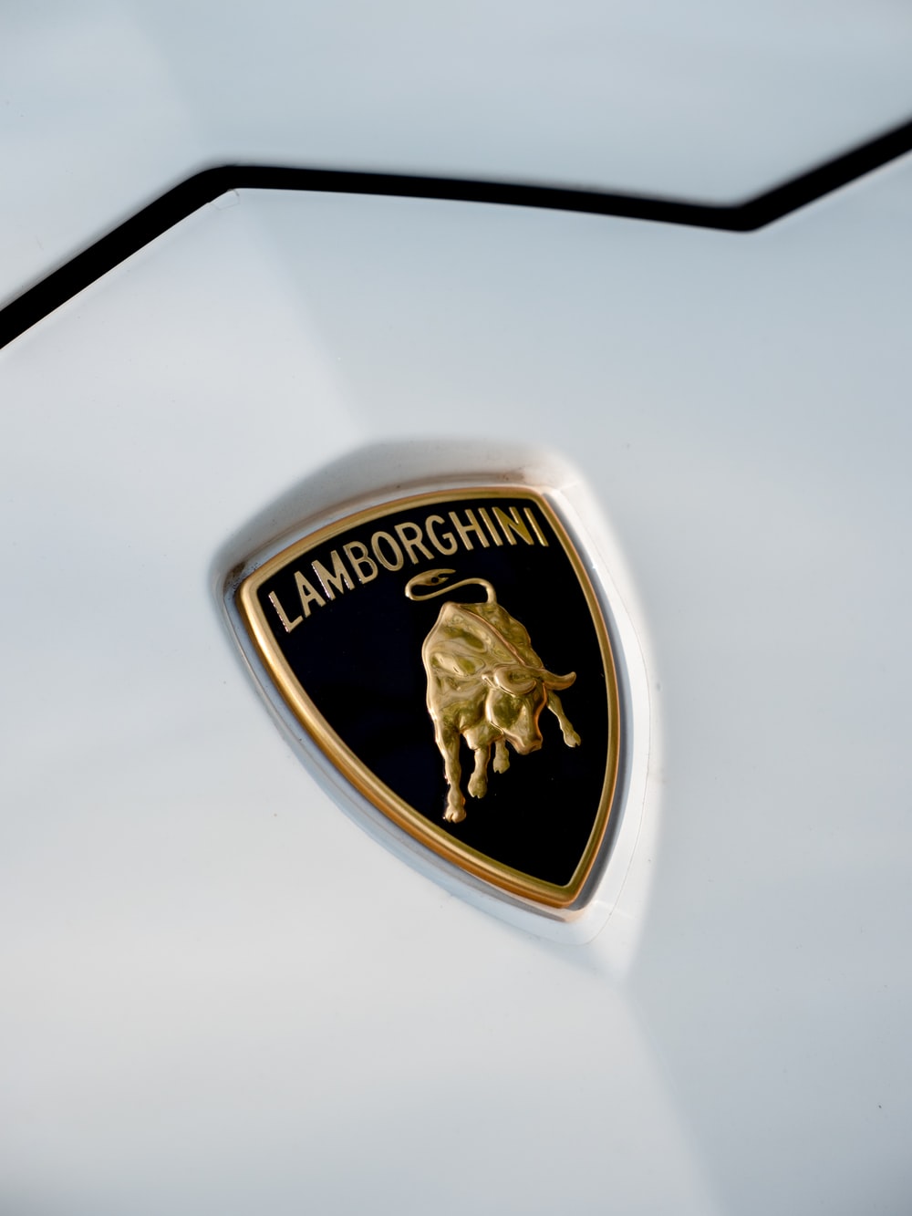 Detail Lamborghini Logo Picture Nomer 39