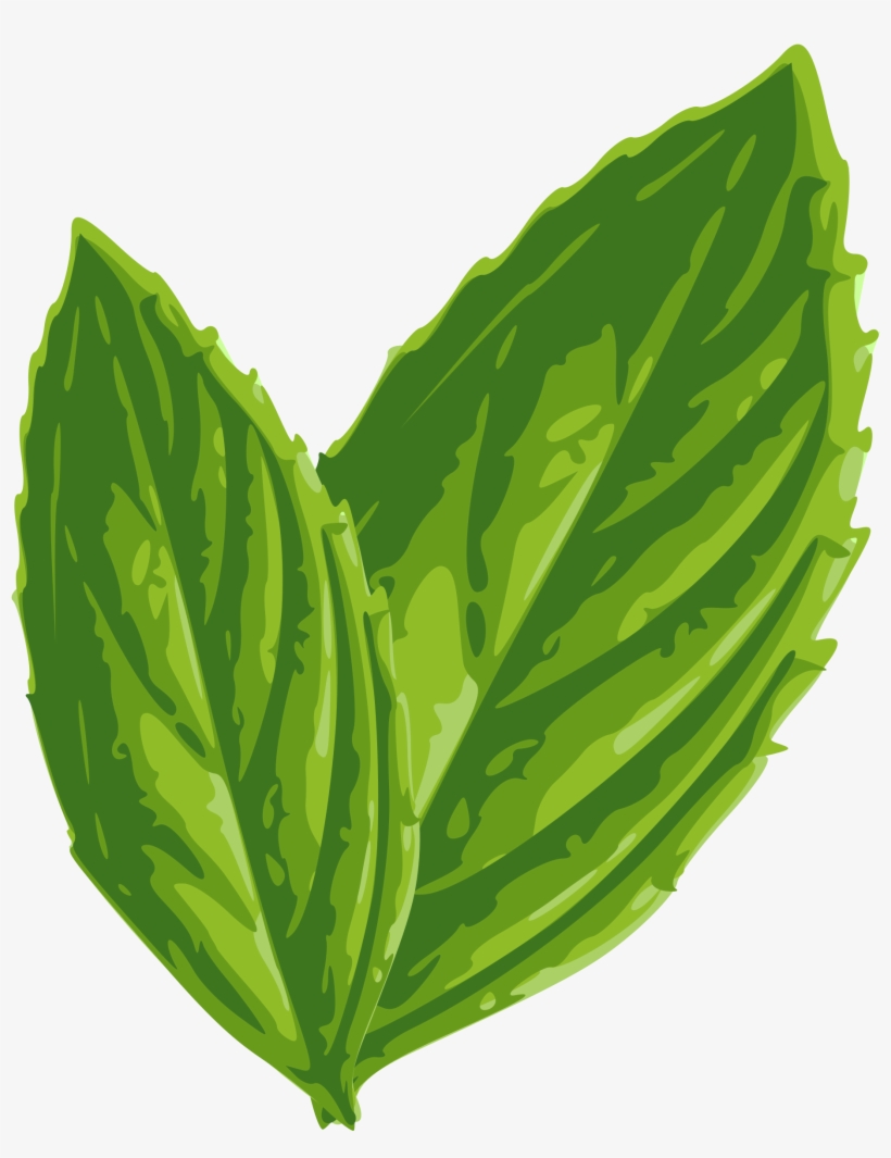 Detail Mint Leaf Png Nomer 32