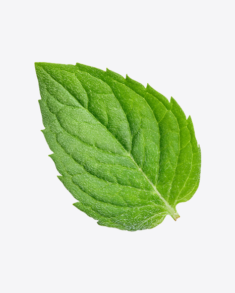 Detail Mint Leaf Png Nomer 34