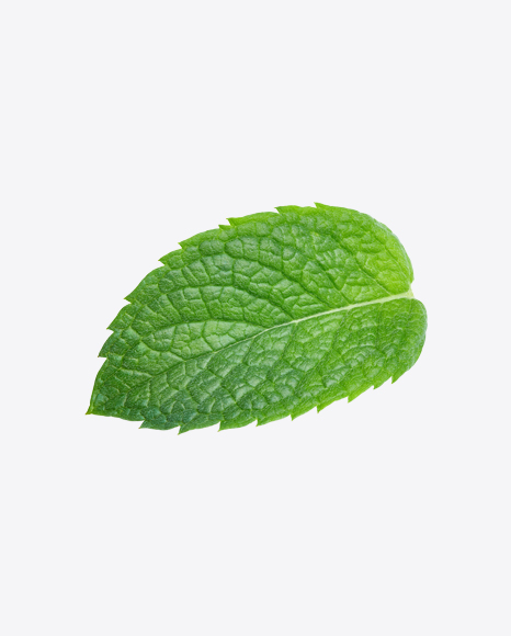 Detail Mint Leaf Png Nomer 10