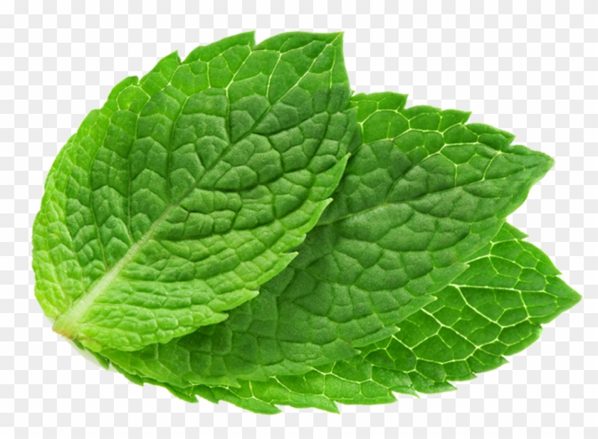 Mint Leaf Transparent - KibrisPDR