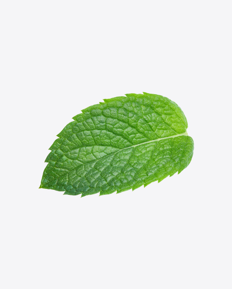 Detail Mint Leaf Transparent Nomer 8