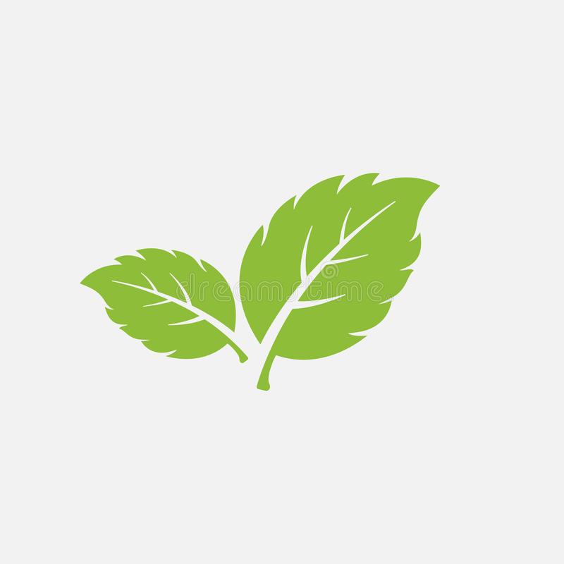 Mint Leaf Vector - KibrisPDR