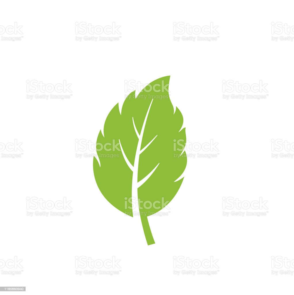 Detail Mint Leaf Vector Nomer 17