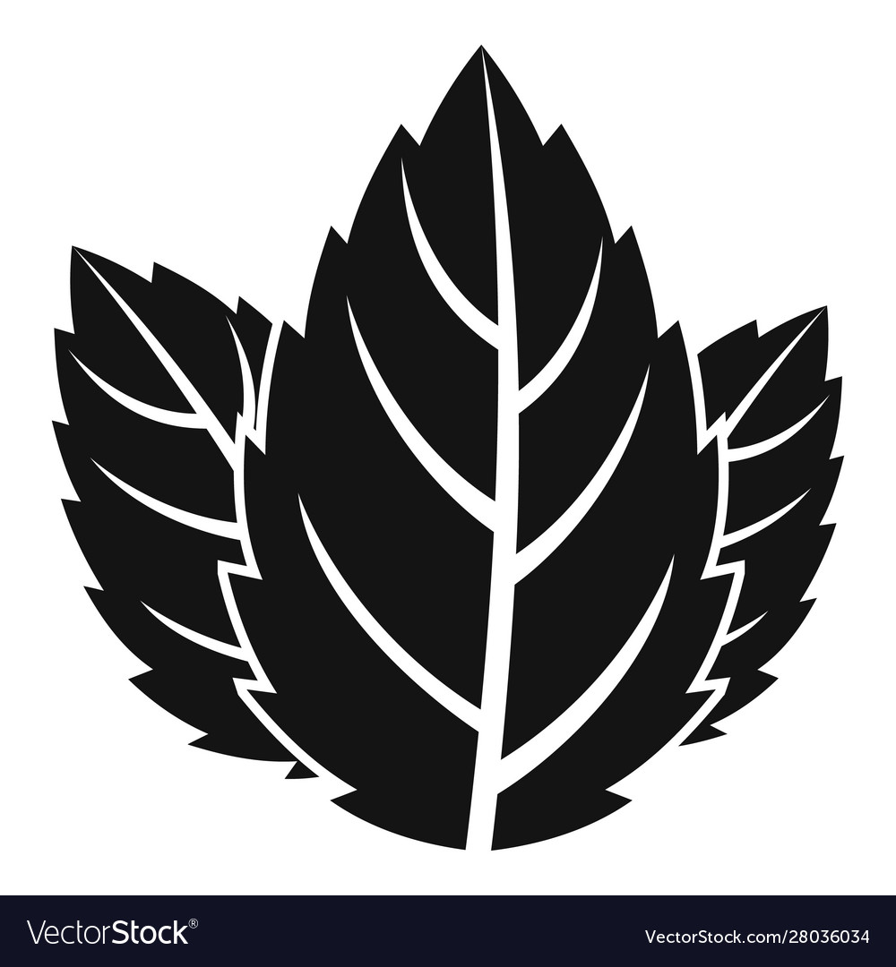 Detail Mint Leaf Vector Nomer 22