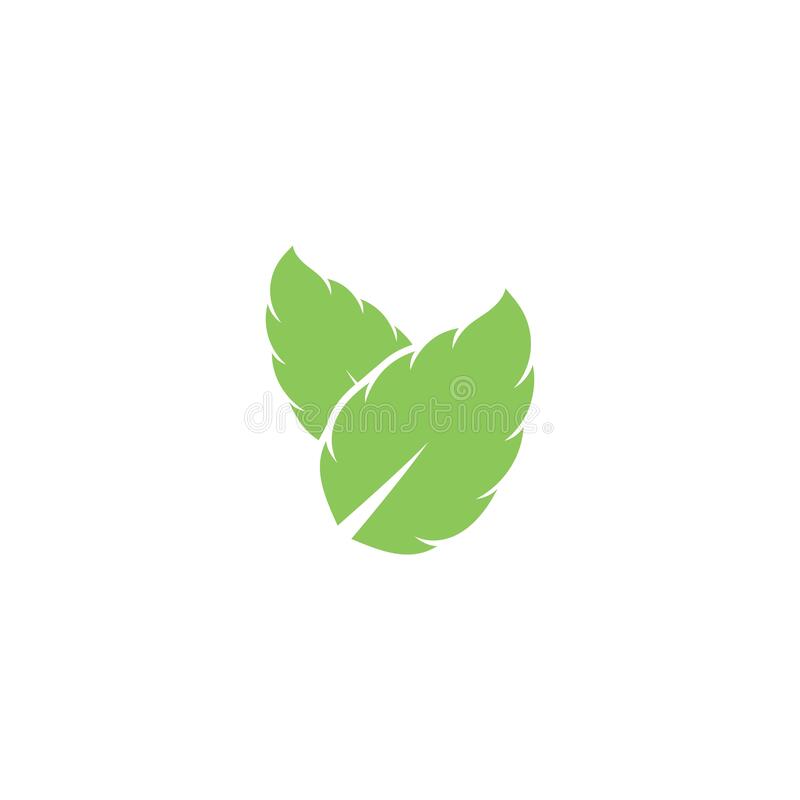 Detail Mint Leaf Vector Nomer 24