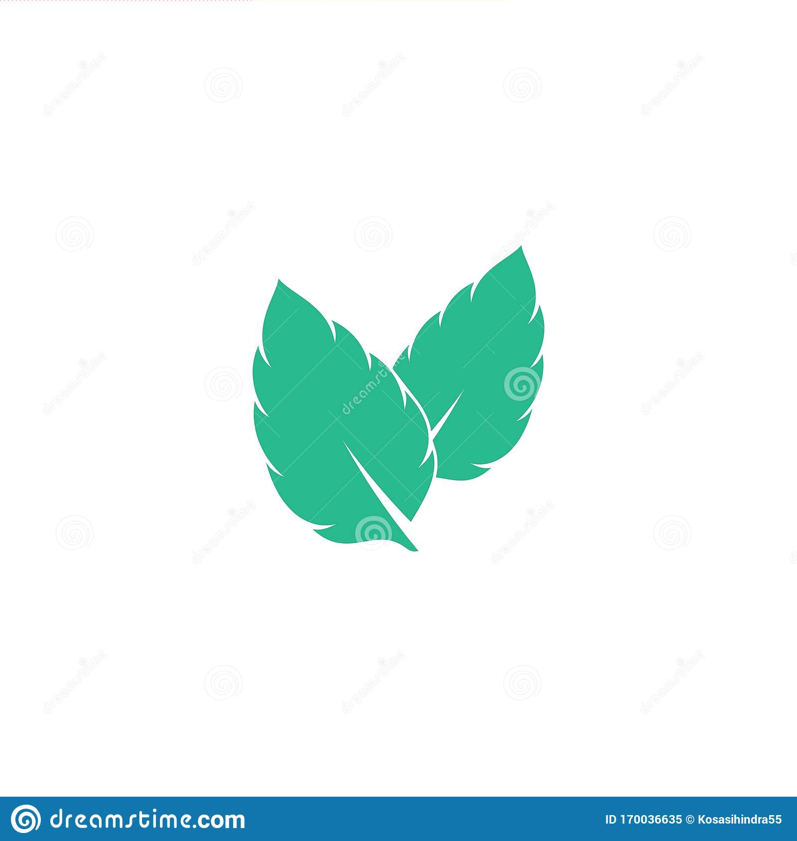 Detail Mint Leaf Vector Nomer 25