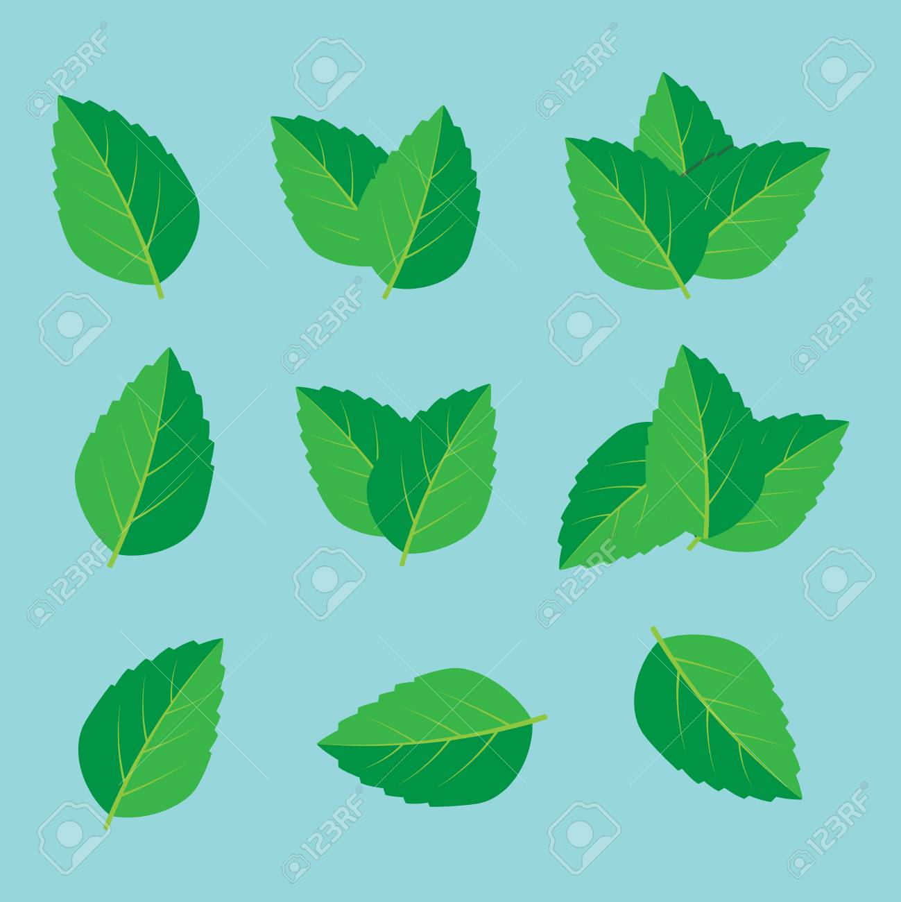 Detail Mint Leaf Vector Nomer 4