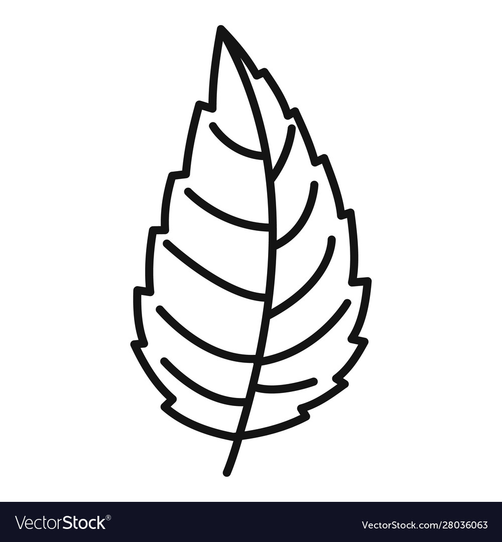 Detail Mint Leaf Vector Nomer 33