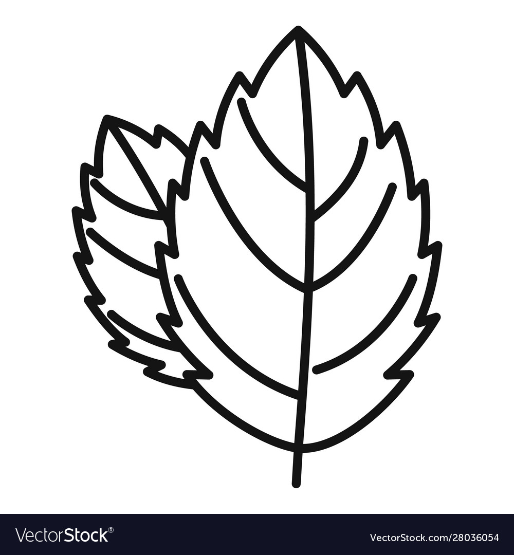 Detail Mint Leaf Vector Nomer 34