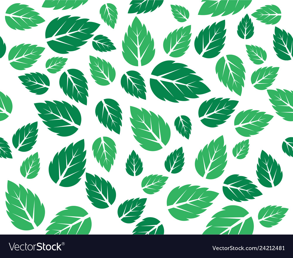 Detail Mint Leaf Vector Nomer 35