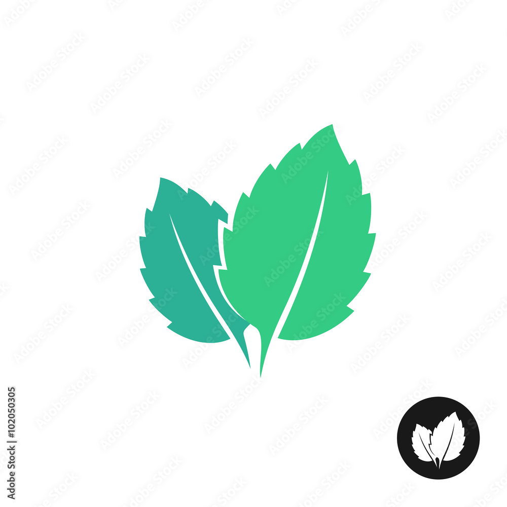 Detail Mint Leaf Vector Nomer 36