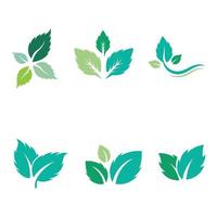 Detail Mint Leaf Vector Nomer 38