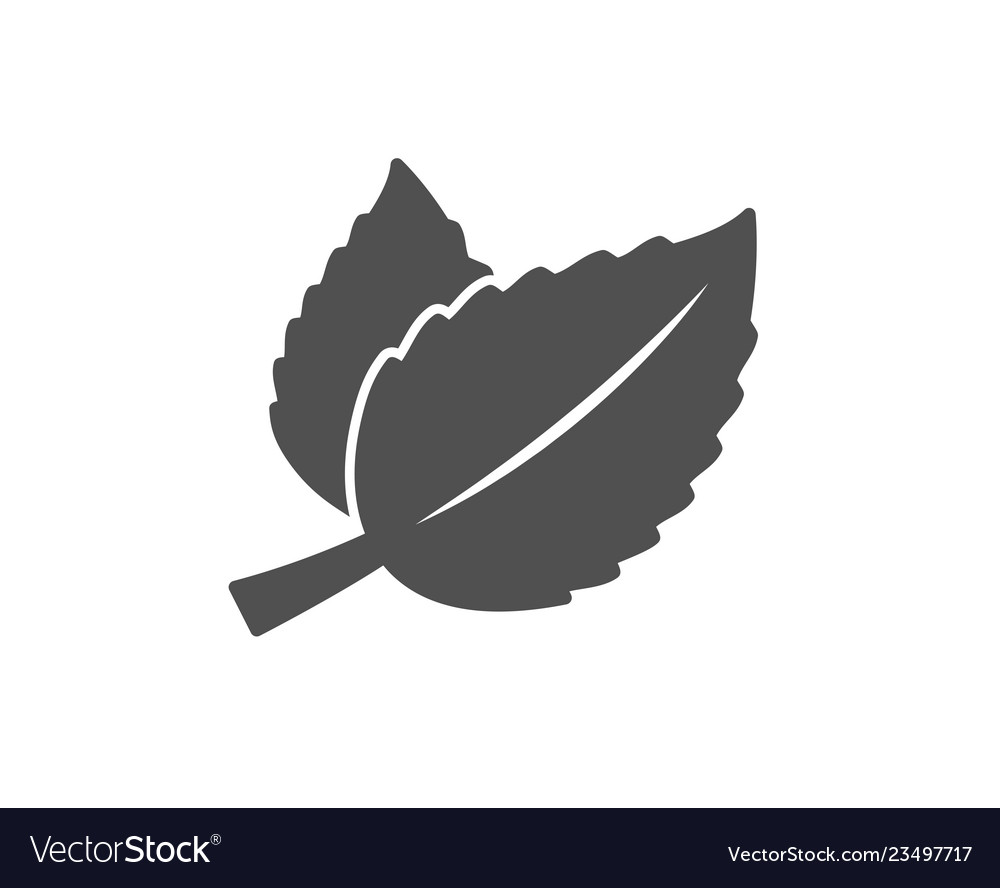 Detail Mint Leaf Vector Nomer 39