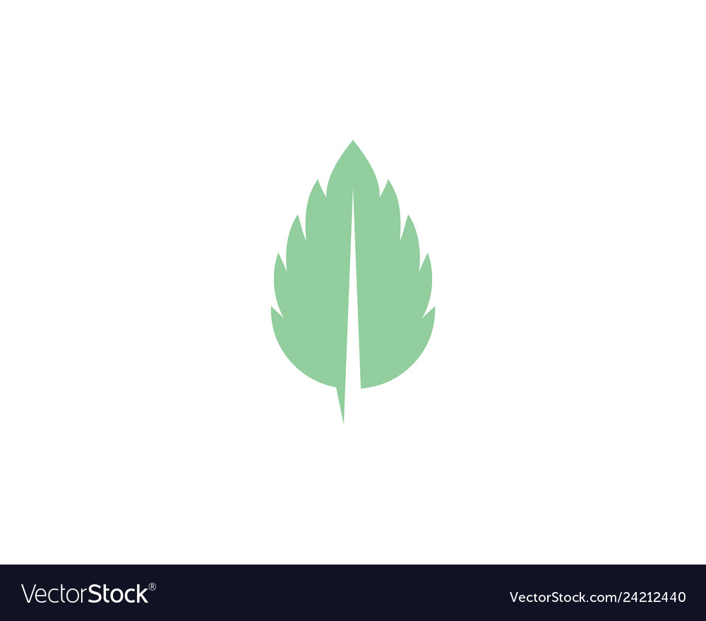 Detail Mint Leaf Vector Nomer 40