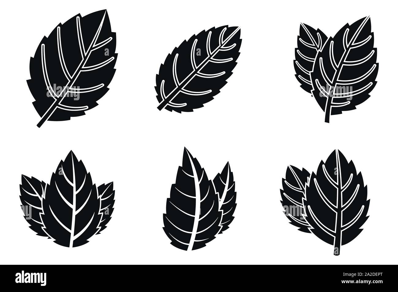 Detail Mint Leaf Vector Nomer 42