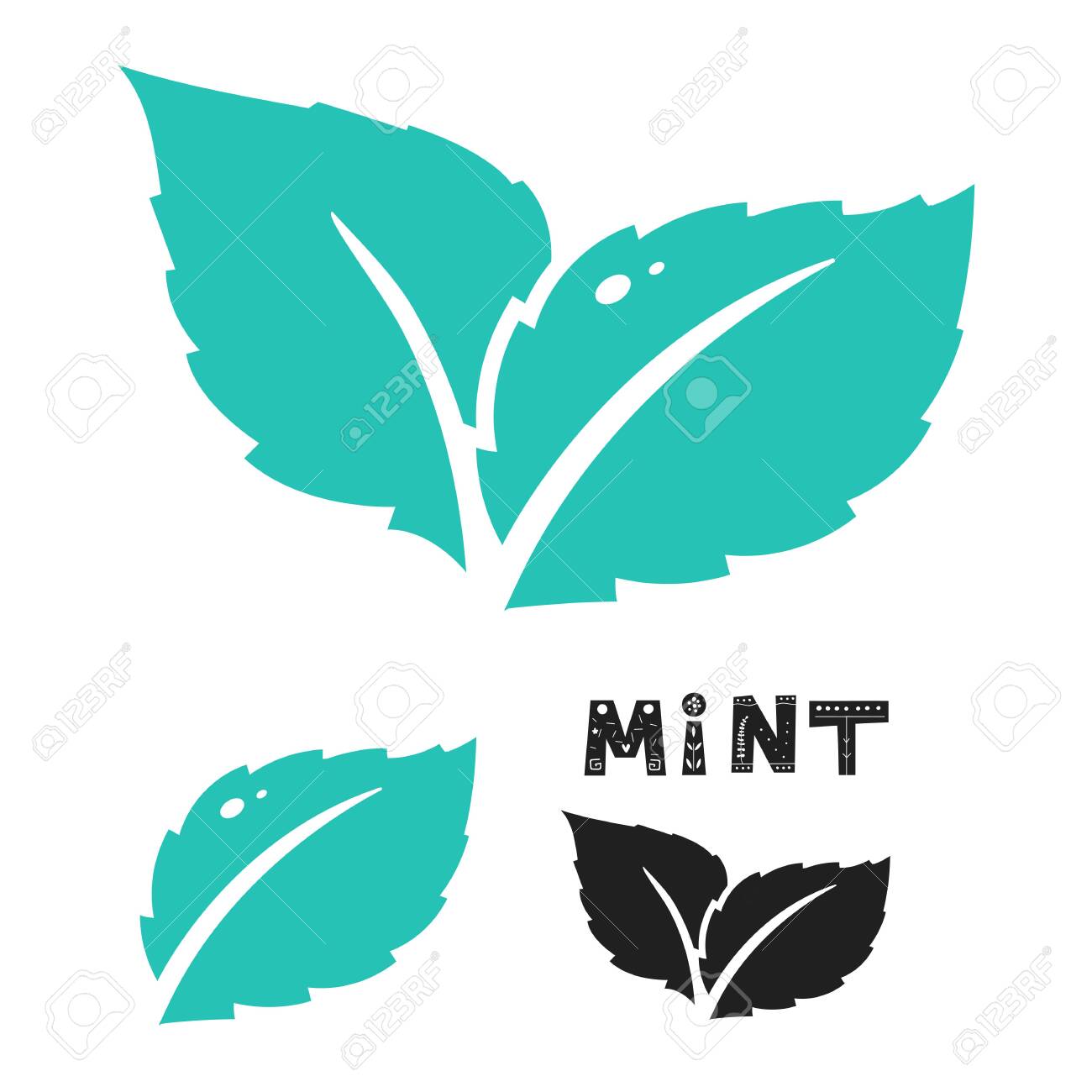 Detail Mint Leaf Vector Nomer 44