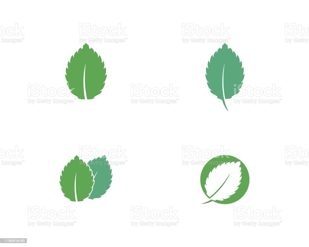 Detail Mint Leaf Vector Nomer 46