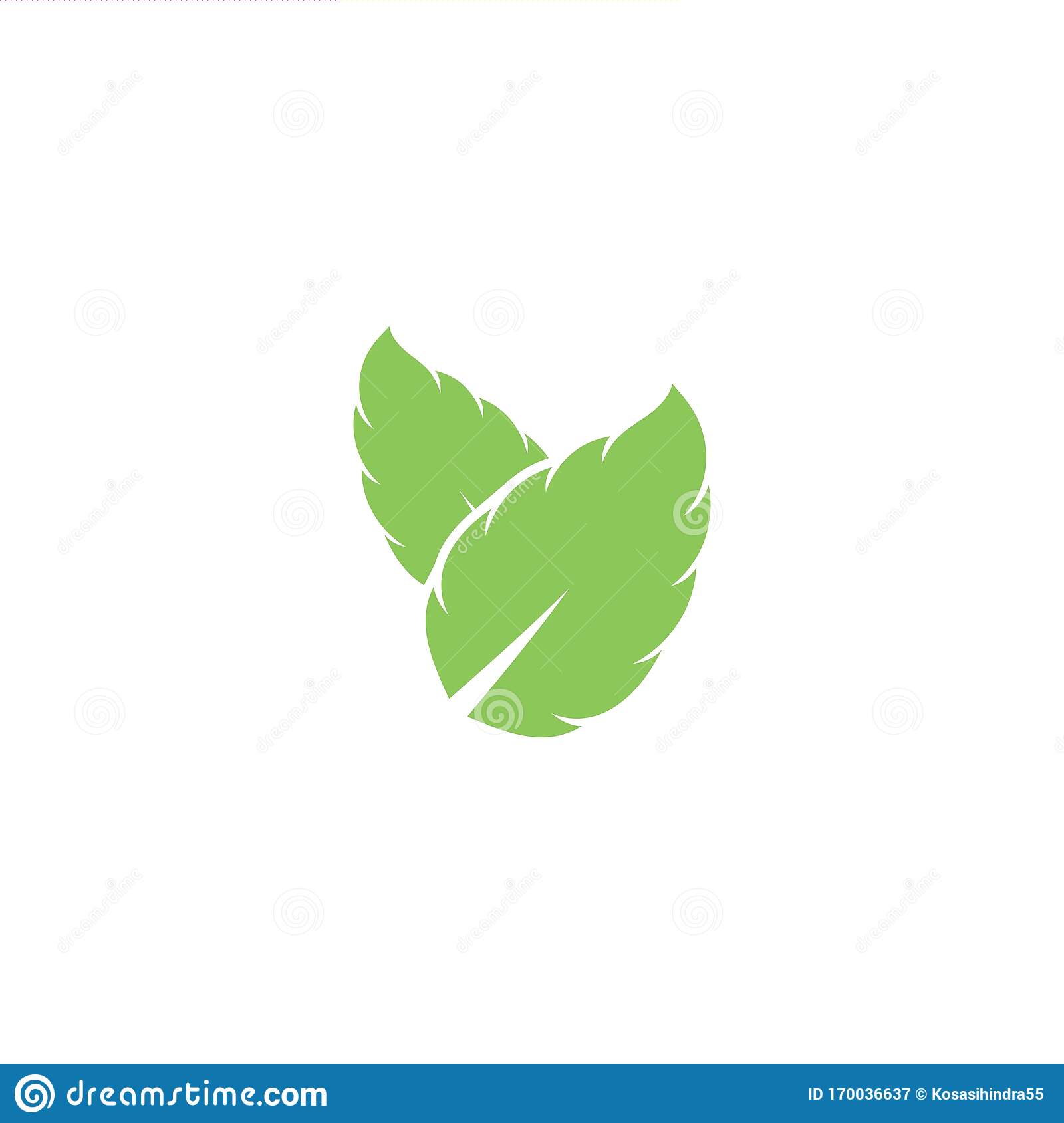 Detail Mint Leaf Vector Nomer 7