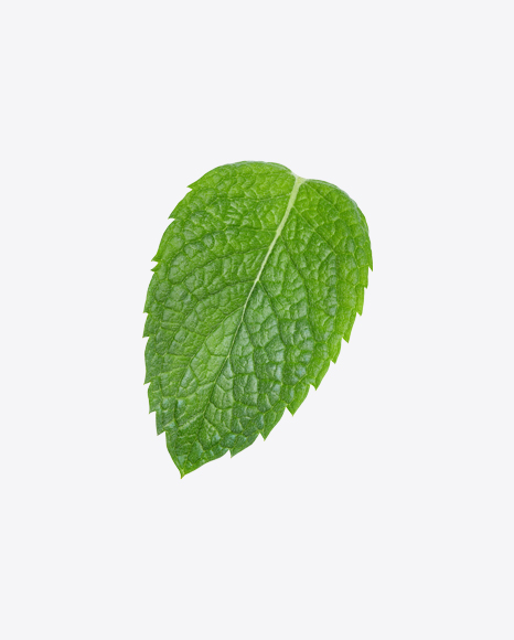 Detail Mints Png Nomer 14