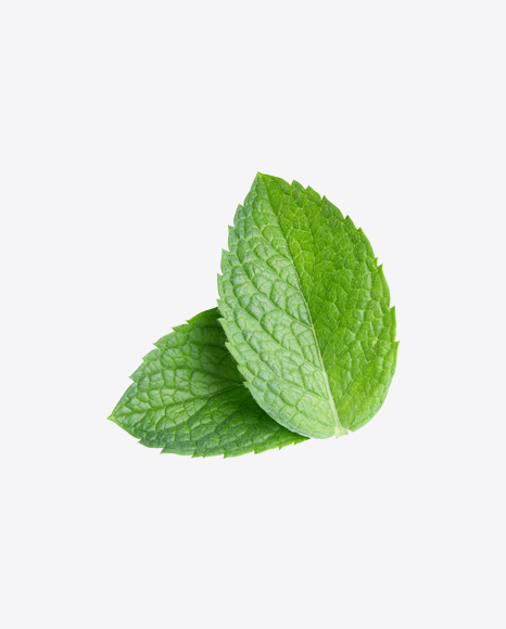 Detail Mints Png Nomer 17