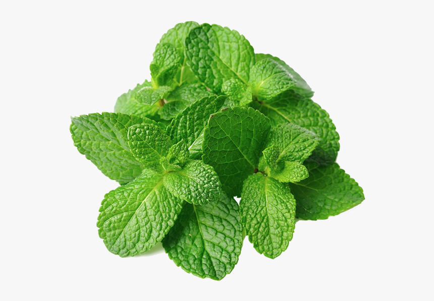 Detail Mints Png Nomer 19