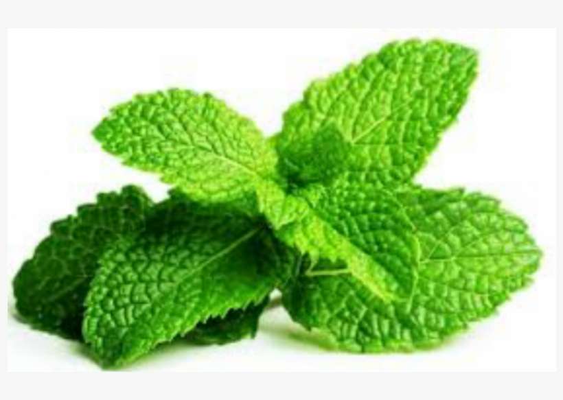 Detail Mints Png Nomer 3