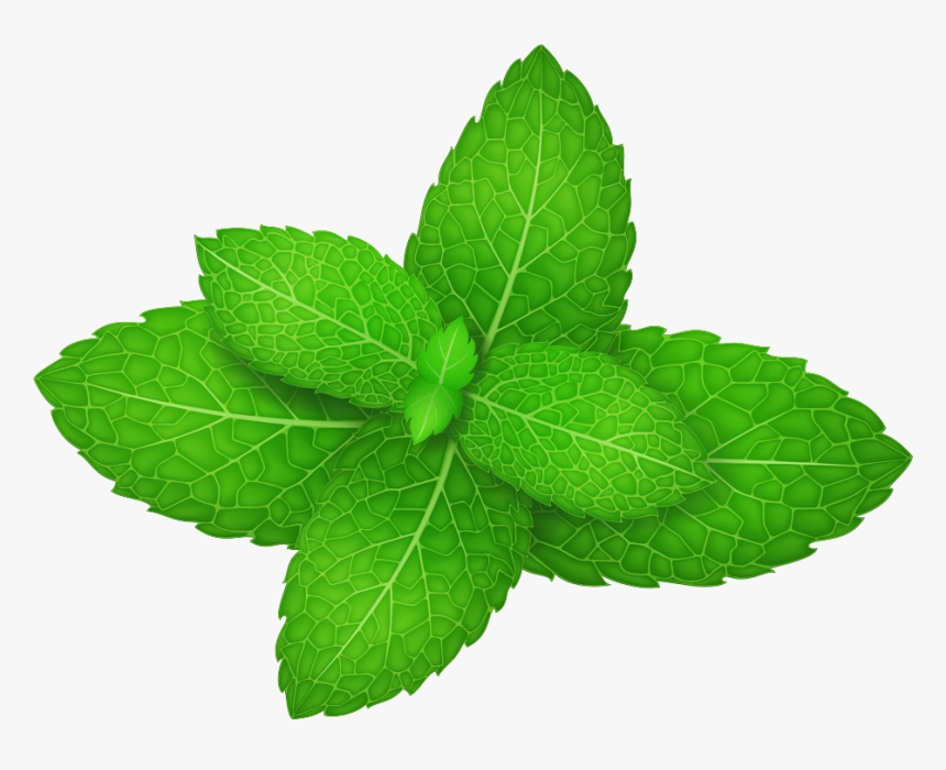 Detail Mints Png Nomer 24