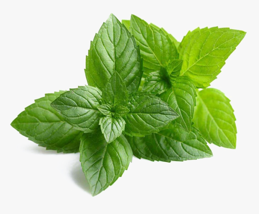 Detail Mints Png Nomer 4