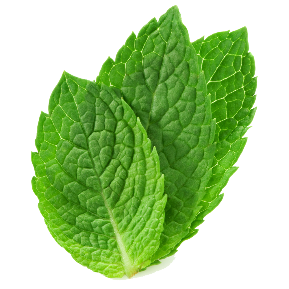 Detail Mints Png Nomer 7