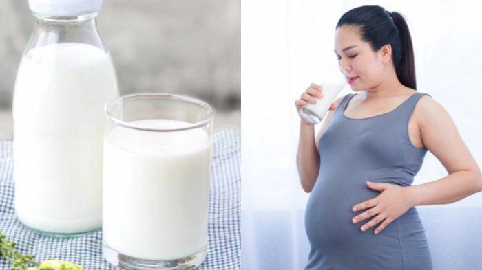 Detail Minum Susu Beruang Saat Hamil Nomer 15