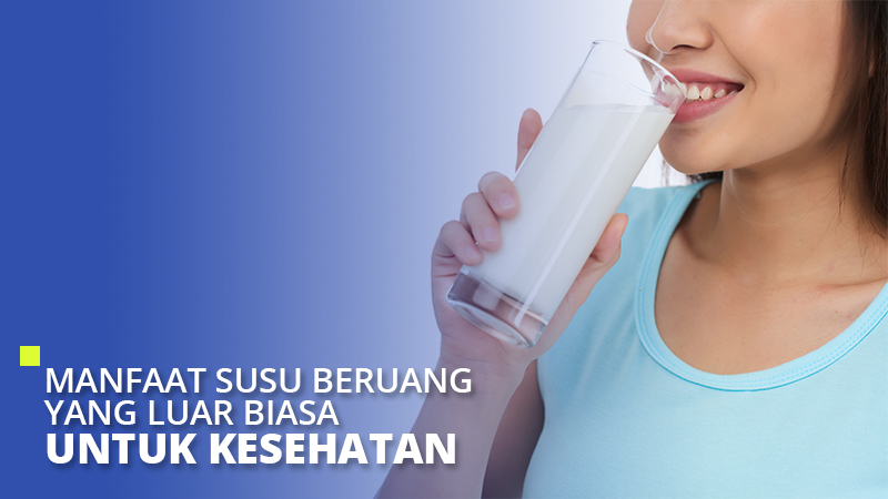 Detail Minum Susu Beruang Saat Hamil Nomer 50