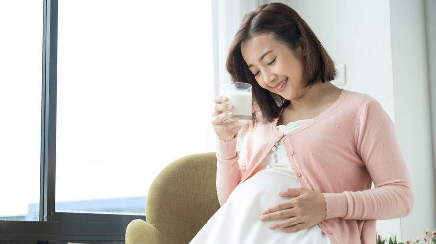 Detail Minum Susu Beruang Saat Hamil Nomer 51