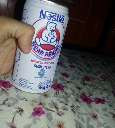 Detail Minum Susu Beruang Saat Hamil Nomer 9