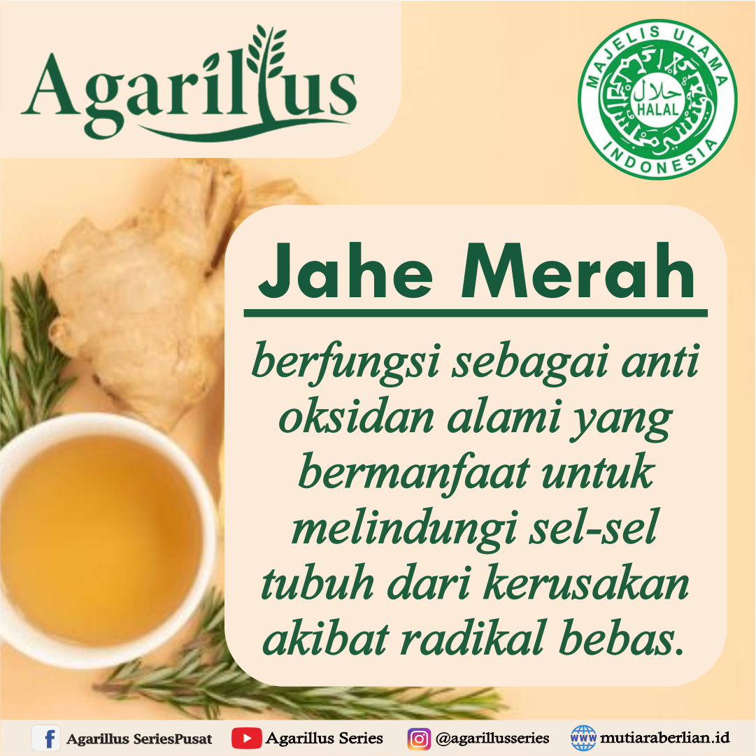 Detail Minuman Jahe Merah Png Nomer 54