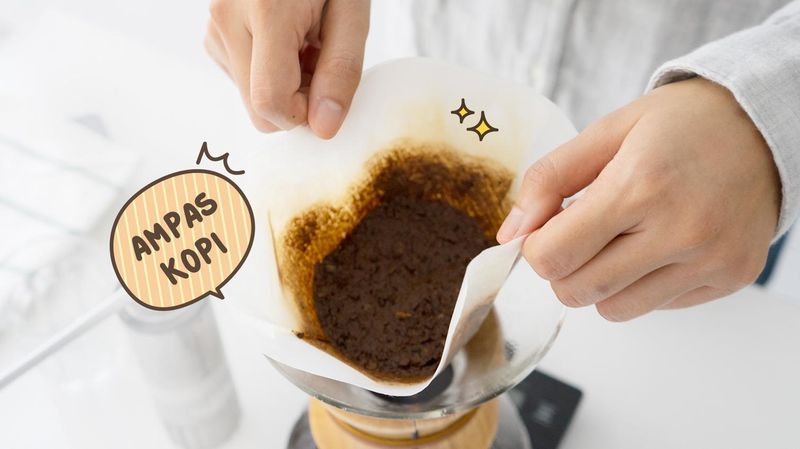 Detail Minyak Zaitun Dan Kopi Nomer 12