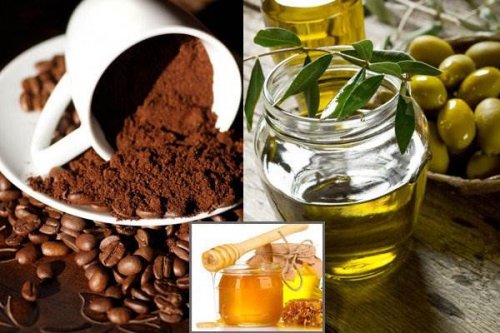 Detail Minyak Zaitun Dan Kopi Nomer 20