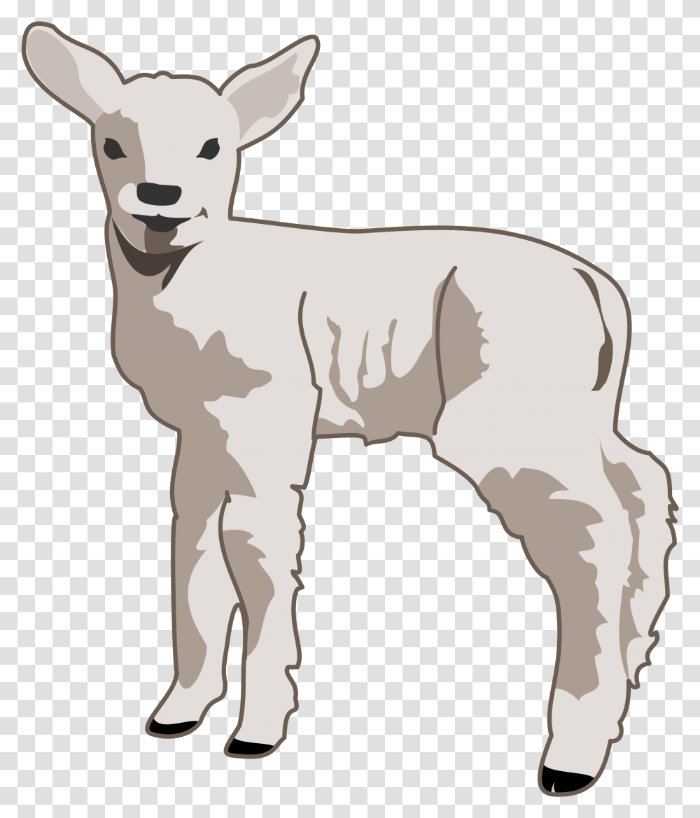 Detail Lambs Clipart Nomer 29