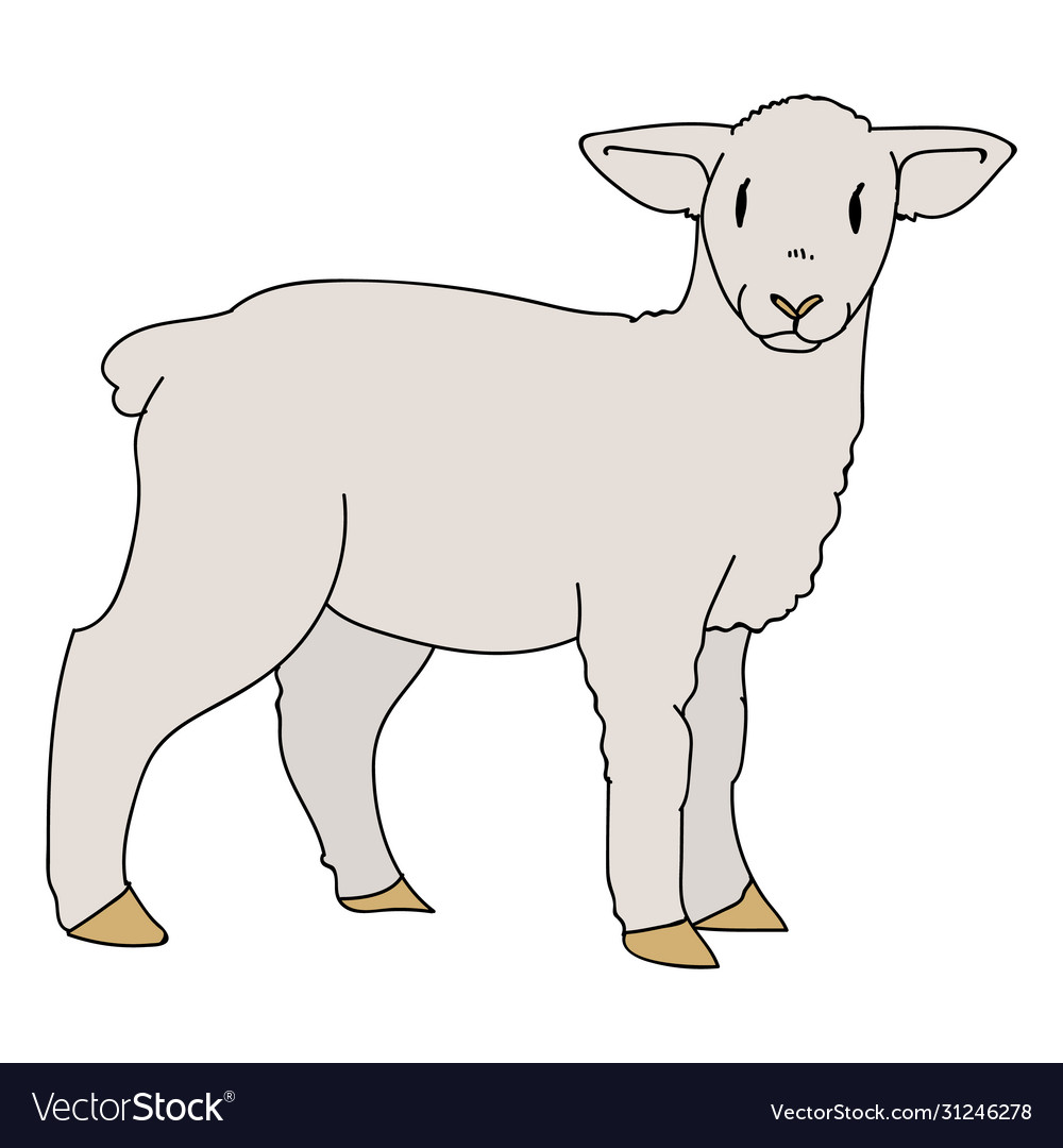 Detail Lambs Clipart Nomer 42