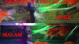 Detail Lampu Aquarium 3 Warna Nomer 19