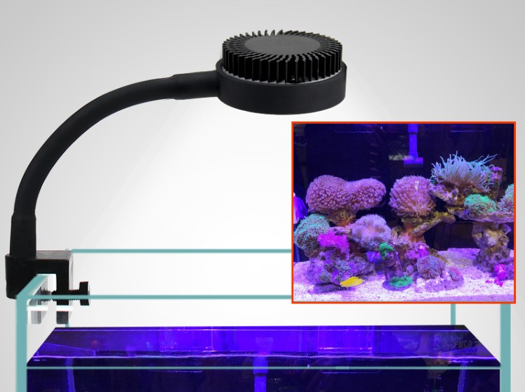 Detail Lampu Aquarium Laut Nomer 6