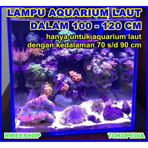 Detail Lampu Aquarium Laut Nomer 52