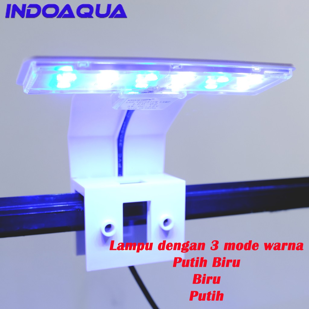 Detail Lampu Aquarium Laut Nomer 10