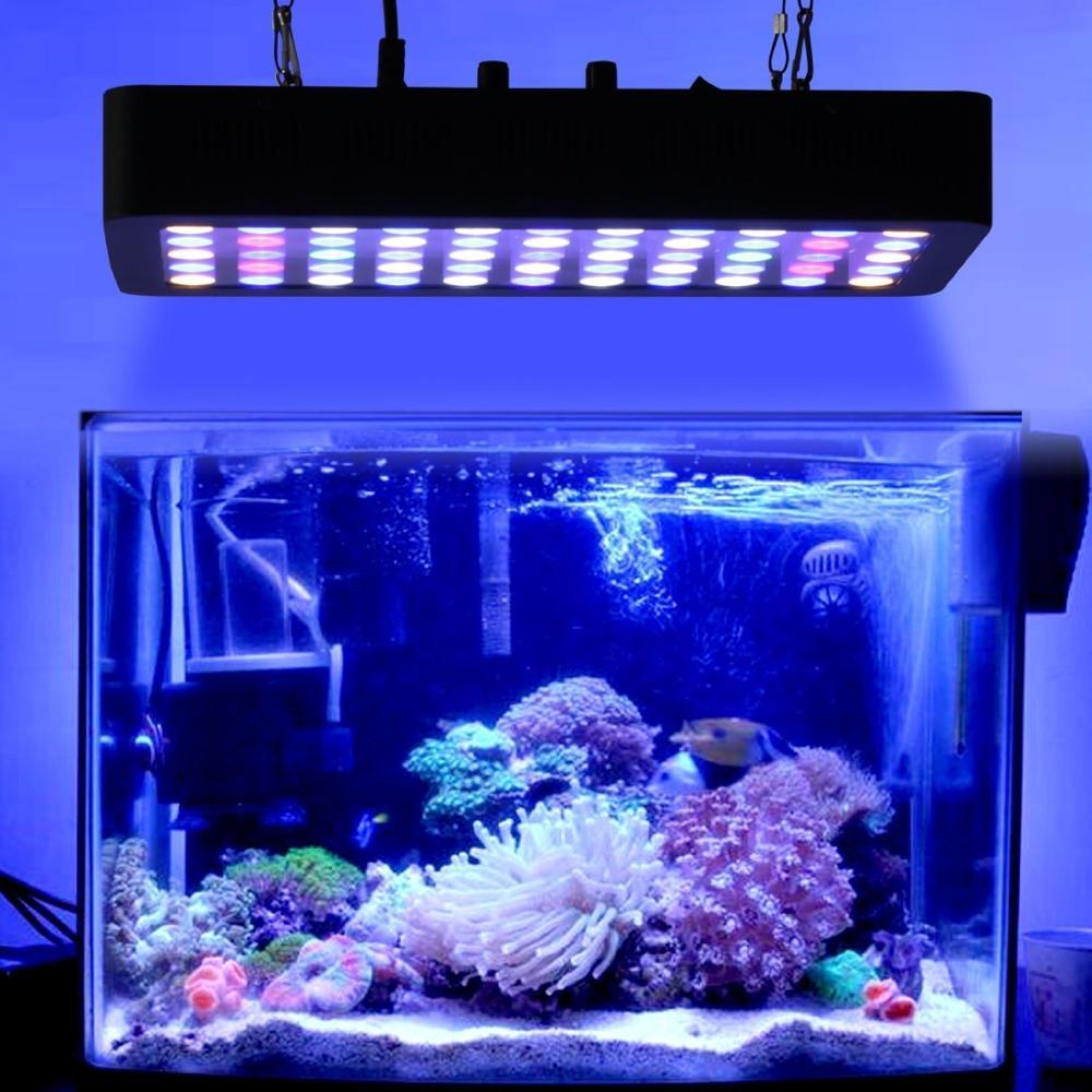 Detail Lampu Aquarium Laut Terbaik Nomer 2