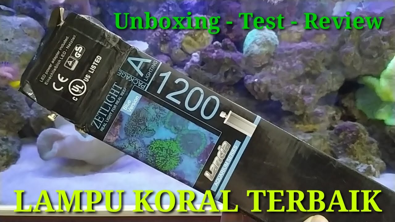 Detail Lampu Aquarium Laut Terbaik Nomer 48