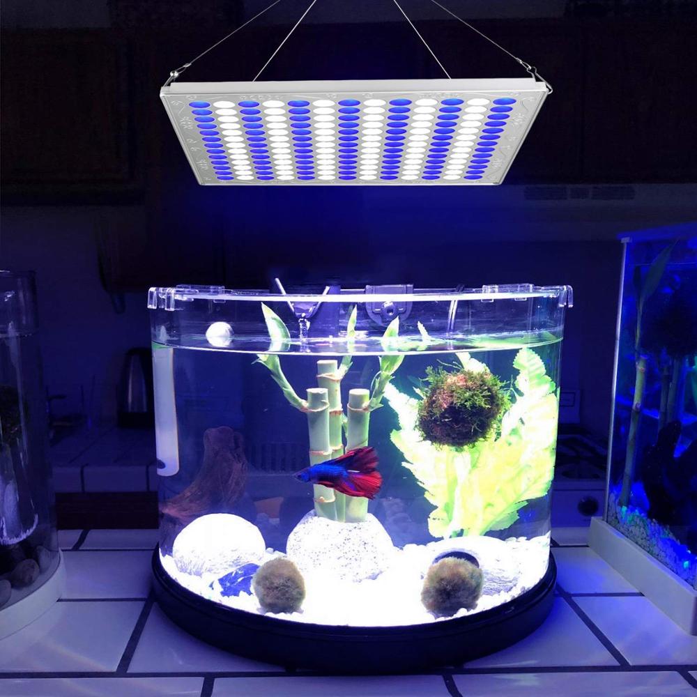 Detail Lampu Aquarium Laut Terbaik Nomer 49