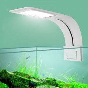 Detail Lampu Aquarium Laut Terbaik Nomer 53