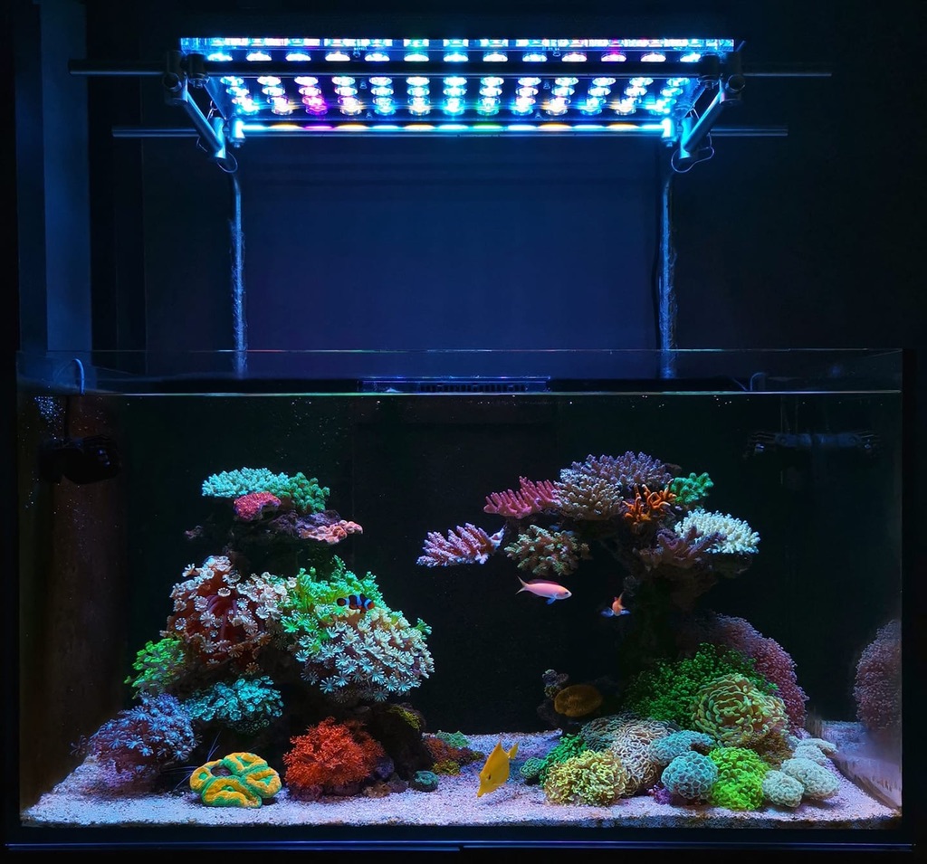 Detail Lampu Aquarium Laut Terbaik Nomer 7