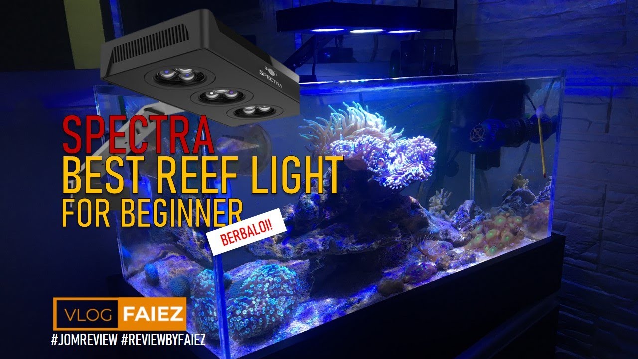 Detail Lampu Aquarium Laut Terbaik Nomer 8